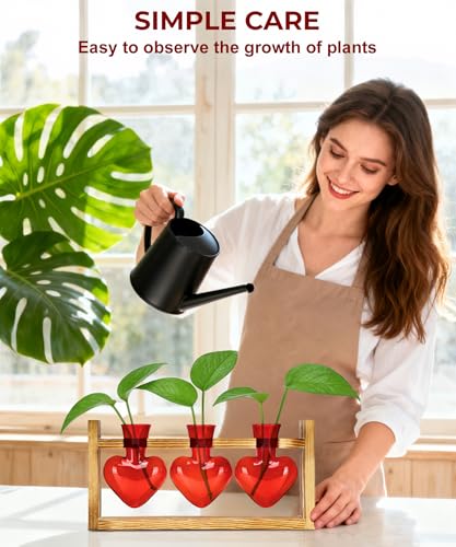 Nacome Plant Terrarium with Wooden Stand, 3 Heart Bulb Glass Vases - color: Red