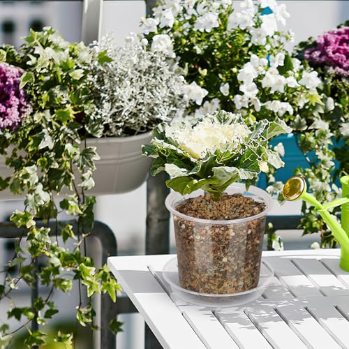 40 Pack 4/5/6/7 Inch Clear Nursery Pots with Drainage and Saucer, Clear Plastic Planter Pots for Plants, Flexible Seed Starting Pots for Succulents, Small Herbs, Annual Flowers - size: 4+5+6+7 Inch