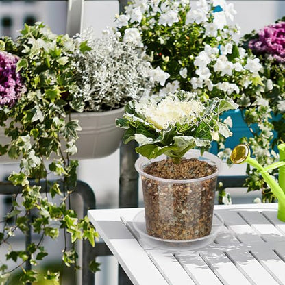 20 Pack 6 Inch Clear Nursery Pots with Drainage and Saucer, Clear Plastic Planter Pots for Plants, Flexible Seed Starting Pots for Succulents, Small Herbs, Annual Flowers (6 Inch) - size: 6 Inch