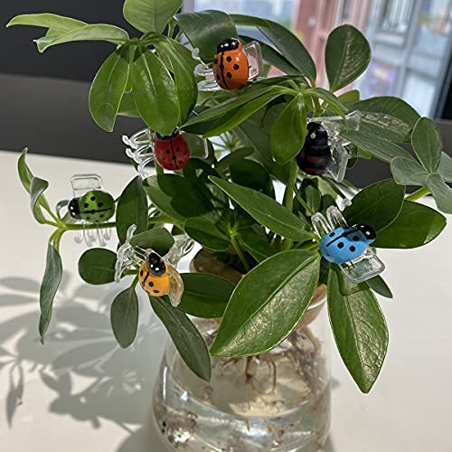 30 Pcs Colorful Ladybug Orchid Clips, Garden Plant Vine Support Clips Flower Clips