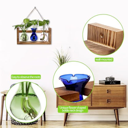 Plant Propagation Station Plant Terrarium Unique Birthday Gifts for Women - color: Color01