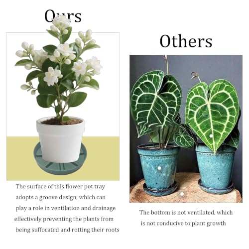 2Pcs 6 Inch Plant Saucer Drip Tray, Clear Plastic Flower Pot Saucers, Thicker Anti-Rot Root Water Catcher Tray for Indoor Outdoor Planters, Heavy Sturdy Pot Base Plate Green - color: Green