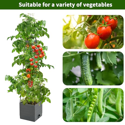 2 Pack Raised Garden Bed, Planter Boxes with Trellis 58.3'' Tomato Planters for Climbing Vine Vegetables Flowers Plants Self Watering Tomatoes Cage for Outdoor Patio Greenhouse - size: 58.3inch 2 Pack