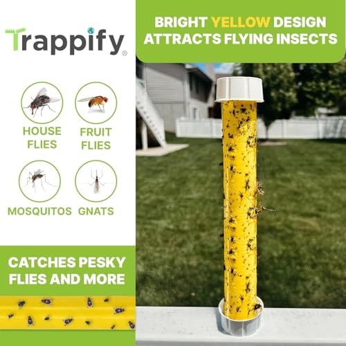 Trappify Hanging Fly Trap & Fruit Fly Traps for Indoors, Yellow, 8 Pack - size: Pack 8