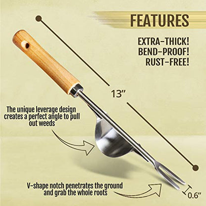 Betus Manual Hand Weeder - Bend-Proof Leverage Base for Super Easy Weed Removal & Deeper Digging - Sturdy Chrome Plated Steel - Compact Dandelion Weed Puller Tool for Yard Lawn and Farm