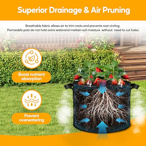Simple Deluxe Grow Bags 5 Gallon 10 Pack Planter Pots with Handles, Thickened Nonwoven Fabric Aeration Cloth Bag, Heavy Duty Gardening for Tomoato, Potato, Vegetable, Herbs and Flowers, Black - color: 10 Pack, size: 5 Gallon