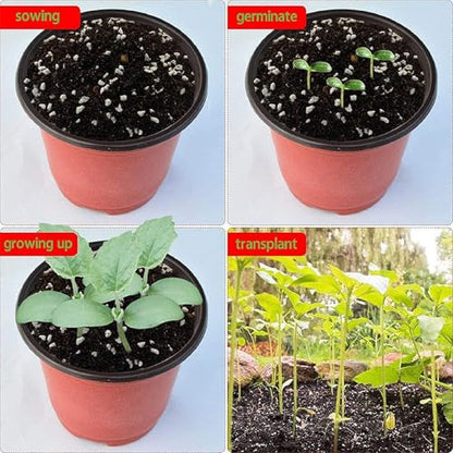 Plastic Planter Nursery Seedlings Pots - 4 Inches 100Pcs Flower Plant Container Seed Starting Pot for Outdoor Succulents Seedlings Cuttings Transplanting - size: 4 x 3.5 x 3 in
