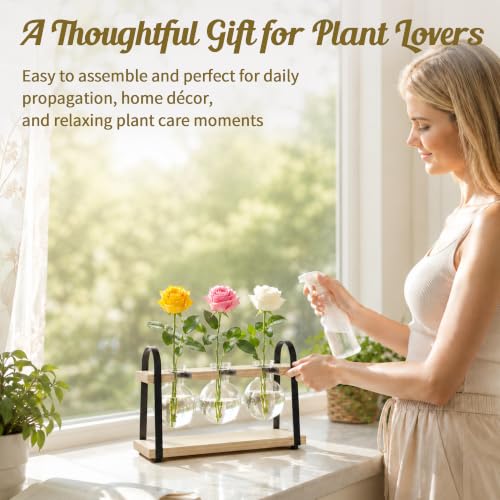 3-Bulb Plant Propagation Station, Glass Vase Terrarium, Retro White - color: White