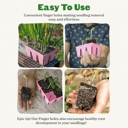 Epic Gardening 6-Cell Seed Starter Tray - 6 Trays - Pink - color: Pink