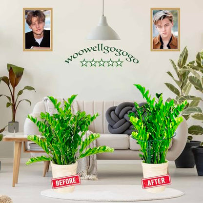 6-Pack Snake Plant Support Stakes, Half-Round Peony Cages and Supports, Green Plant Support Ring - Sturdy and Durable for Indoor and Outdoor Potted Plants, Such as Amaryllis, Peony, Hydrangea - size: 16x10in