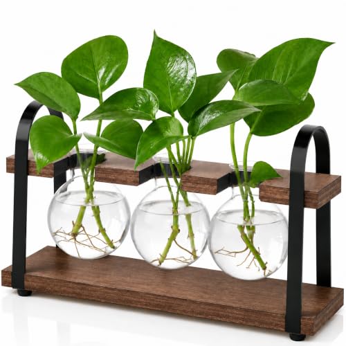 3-Bulb Plant Propagation Station, Glass Vase Terrarium, Brown - color: Brown