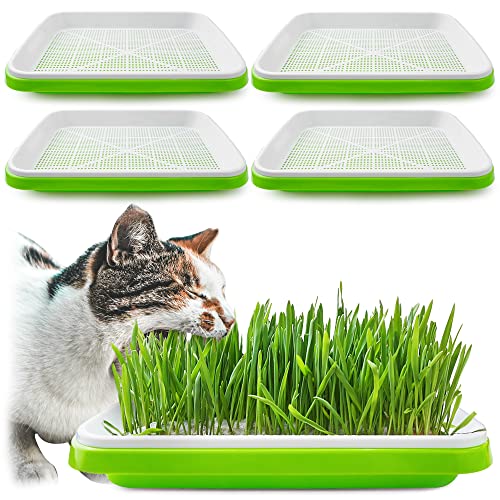 Pack 4 Seed Sprouter Tray with Drain Holes,Seed Germination Tray Kit BPA Free Nursery Trays,Soil-Free Big Capacity Healthy Wheatgrass Grower Sprouting Container Kit - color: Green-4 Pack