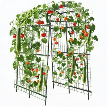 Metal Garden Arch Trellis, 7.6Ft Black for Raised Beds, Plant Support for Cucumbers & Climbing Vegetables with 9 Horizontal Pipe - size: 7.6x6x3.8 Ft - 9