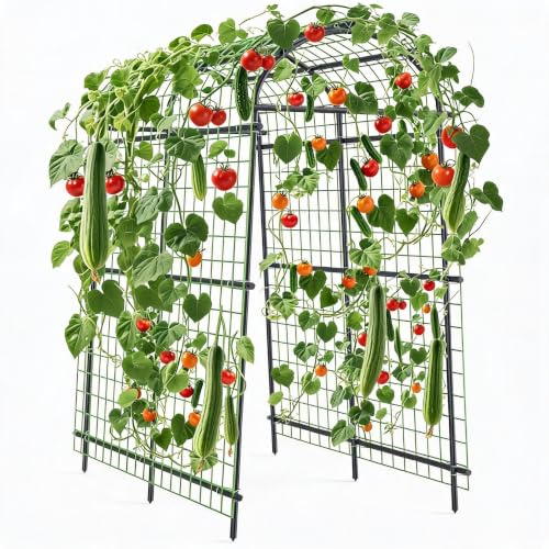 Metal Garden Arch Trellis, 7.6Ft Black for Raised Beds, Plant Support for Cucumbers & Climbing Vegetables with 9 Horizontal Pipe - size: 7.6x6x3.8 Ft - 9