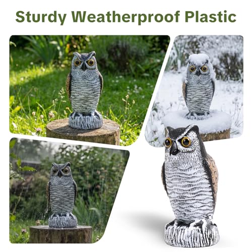 OFFO 2 Pack Realistic Owl Statue, Hand-Painted Garden Owl Decor, 8 Inch - size: 8 in