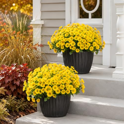 CLEANGOR 12 Pcs Daisy Artificial Flowers for Outdoors, Fake Mums (Yellow) - color: Yellow