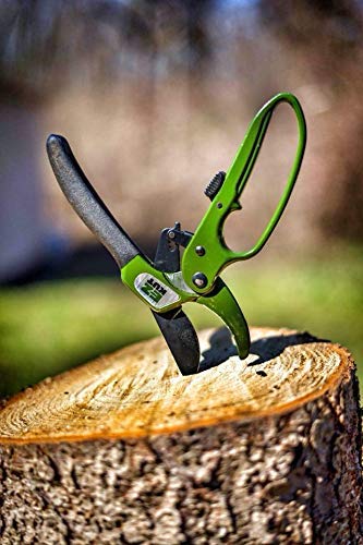 EZ Kut Heavy Duty Ratcheting Pruning Shears Green with Holster and Sharpener, Garden Hand Pruner with Ballistic Nylon Sheath, Arthritis Friendly Anvil Clippers for Thick Branches Cuts Up to 1.5 Inches - color: Gren Pack