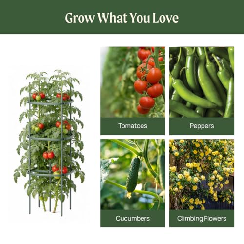 Vego Garden Tomato Cage Tomato Tower 3 Tier for Garden & Pots, Rust-Resistant Tomato Stakes Heavy Gauge Plant Cage Trellis Support for Climbing Vegetables Plants - size: 3 Tier