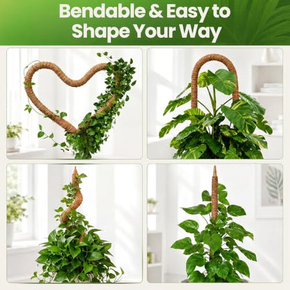 2 Pack 48'' Moss Pole Monstera Plant Support for Climbing Indoor Plants - size: 2-Pack (48 in)