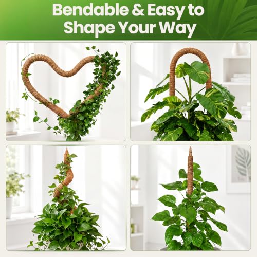 48'' Moss Pole Monstera Plant Support for Climbing Indoor Plants - size: 1-Pack (48 in)