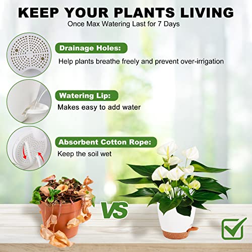7/6.5/6/5.5/5 Inch Self Watering Pots for Indoor/Outdoor Plants, 5 Pack - color: White-5pack, size: 7/6.5/6/5.5/5 inch