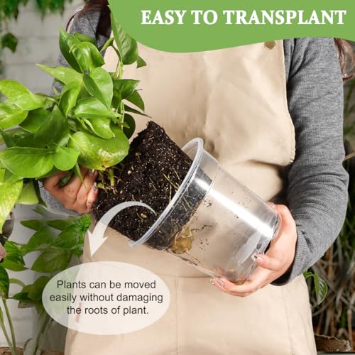 RooTrimmer 60 Pack 6 Inch Clear Nursery Pots for Plants, Flexible Plastic Plant Pots with Drainage Holes, Transparent Plant Starter Pots for Seedlings, Vegetable, Succulents, Flowers - size: 6Inch 60P