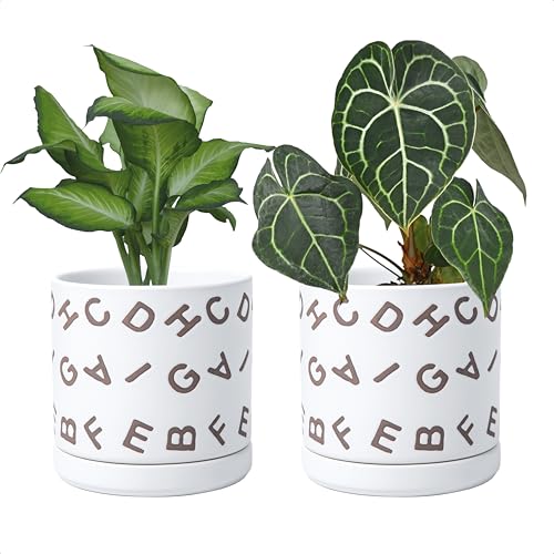 D'vine Dev Set of 2 Ceramic Planter Pots with Drainage Hole and Saucer, 6 Inch Plant Pots for Plants Indoor Houseplants, White, 99-Z-G-1-Y - size: 6", style: Letters White