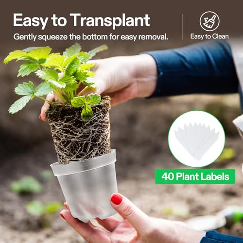 VIVOSUN 36 Packs 4/5/6 Inch Clear Nursery Pots with Drainage Holes - size: 4/5/6 Inch