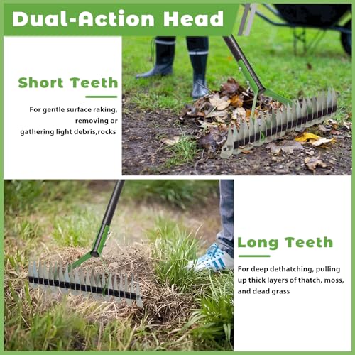 Thatch Rake, 65" Lawn Thatching Rake for Cleaning Dead Grass, 13 Inch Wide Heavy Duty 21 Teeth Steel Metal Rakes, Landscaping Raking Garden Tools for Lawn Care Loosening Leveling Soil Mulch