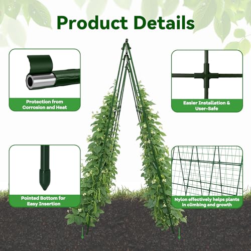 Cucumber Trellis 49.4"*49.4" Metal Garden Trellis for Climbing Plants,Green - color: green, size: 50"*32"*50"