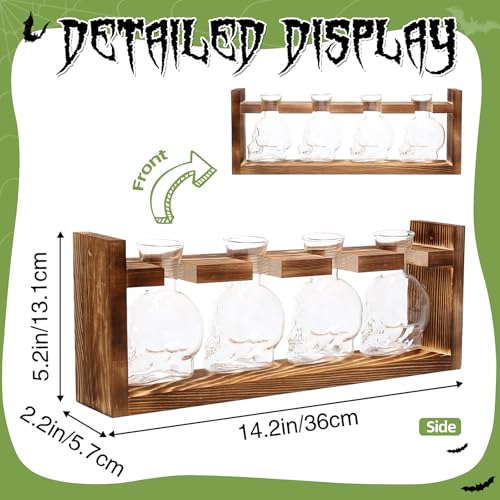 Plant Propagation Stations Halloween Skull Plant Terrarium Kit - color: Transparent