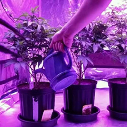 Standard Hydroponics pH Up and Down Kit - 10 Ounce Bottle pH Adjuster for Hydroponic Systems, Coco Coir Even Soil.