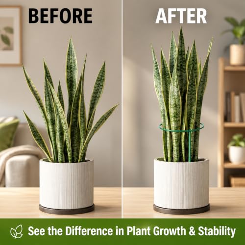 6 Pack Tall Plant Support Stakes – Peony Cages and Supports 10"W x 16"–32"H - size: 6 Pack (up to 32")