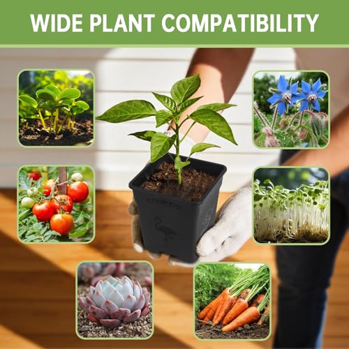 36 Pack 5.5 Inch Square Nursery Pots, Plastic Flower Pots with Drainage, Plant Pots for Plants, Reusable Planting Pots Planter for Seedlings, Transplanting & Indoor Use