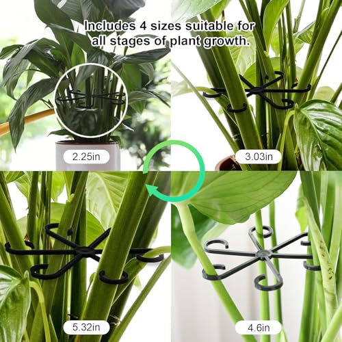 12pcs Climbing Houseplant Stem Supports,Plant stem Support Indoor Outdoor Use,Stem Hook Growth Accessories for Plant Garden, Promotes Upright Growth and Airflow(Black) - size: 12PCS
