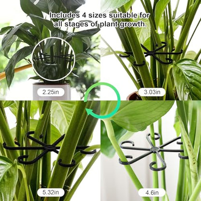 12pcs Climbing Houseplant Stem Supports,Plant stem Support Indoor Outdoor Use,Stem Hook Growth Accessories for Plant Garden, Promotes Upright Growth and Airflow(Black) - size: 12PCS