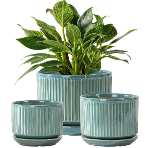 SURE YUESI Ceramic Plant Flower Pots for Indoor Plant, 4.33"+5.5"+6.88", Set of 3, Orchid Pot with Drainage Hole, Saucer and Hole Mesh Pad for Succulents, Herbs and African Violet (Light Blue) - color: Light Blue