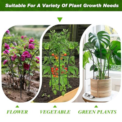 4 Pack Peony Cages and Supports, 12.5"Dx24"H Dual-Ring Metal Plant Supports - color: Black-Metal-4PC