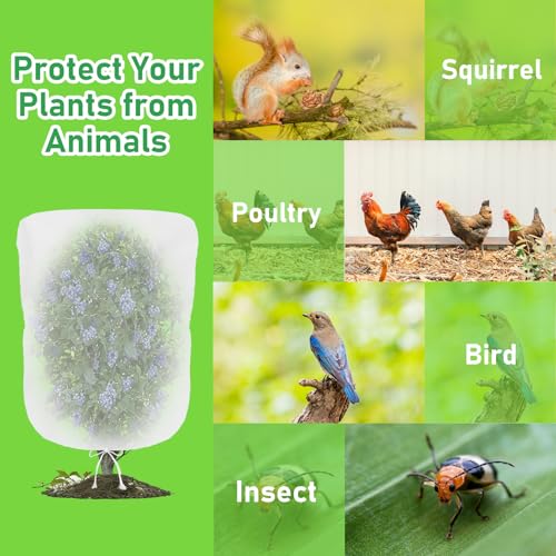 Evoio Bird Netting for Garden Blueberry Bushes Fruit Tree Netting Cover Plant Protection Mesh Bags with Drawstring, 4 Pack 4.6 x 5.9 ft Shrubs Bush Tomato Strawberry Berry Barrier Protectors Net - size: 4.6 x 5.9 Ft