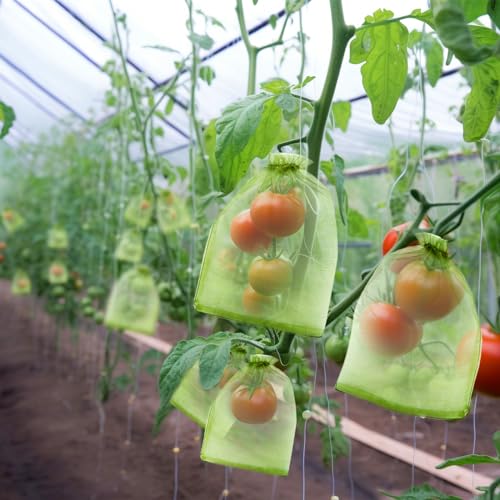 50 PCS 6X9 inches Fruit Protection Bags, Fruit Bags for Fruit Trees - size: 6X9