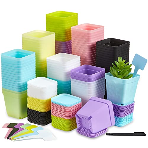 Zubebe 140 Pcs 3 Inch Plastic Plant Pots Square Seedling Nursery Pots Reusable Small Plant Pots with Saucers 140 Pcs Waterproof Plant Labels T Type Plant Tags Marking Pen for Garden Balcony Office - color: Colorful