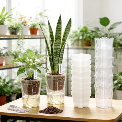 2" Clear Self Watering Pots for Indoor Plants,16PCS Mini Plastic Nursery Planters with Water Level Indicator & Drainage Holes for Propagation,Succulents,Seedling,African Violet,Plant Labels - size: 2 Inch