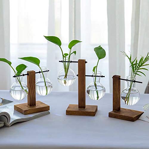 Kingbuy Hydroponic Glass Vase with Retro Wooden Stand - size: B（2 Bulb Vase）