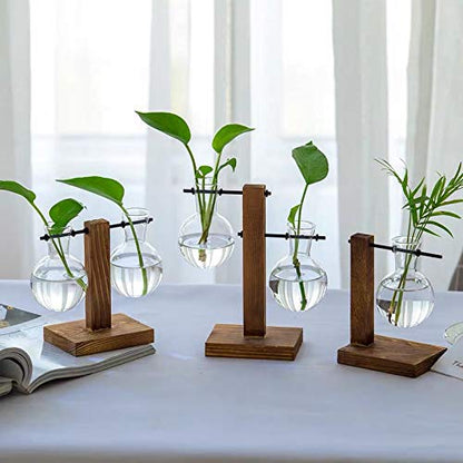 Kingbuy Hydroponic Glass Vase with Retro Wooden Stand - size: B（2 Bulb Vase）