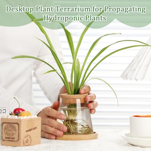 6 Pcs Glass Plant Propagation Station with Wood Lid & Stand, Cute Style - style: Cute Style