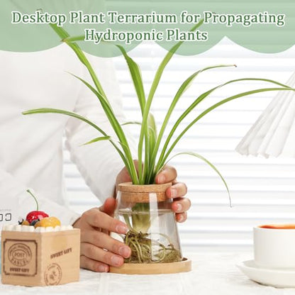 6 Pcs Glass Plant Propagation Station with Wood Lid & Stand, Cute Style - style: Cute Style