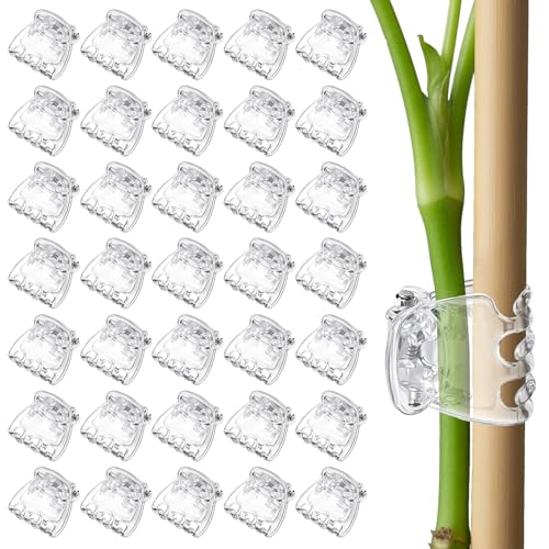 50pcs Orchid Clips for Plants Support, Transparent Plant Orchid Clips 6 Claws for Indoor and Outdoor Plants Plastic Butterfly Plant Support Structures for Garden Vine Stem