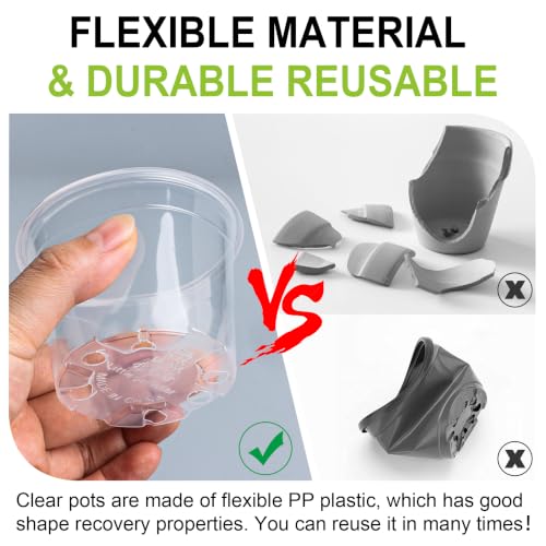 RooTrimmer 100 Pack 2.8 Inches Clear Plant Pots with Drainage Holes, Transparent Seeding Nursey pots, Round Plastic pots for Seeds Starter, Seeds Germination - size: 2.8 Inch 100P