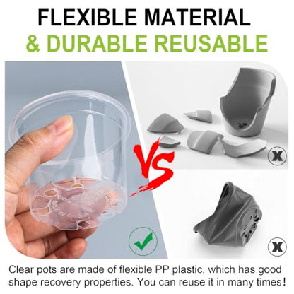 RooTrimmer 100 Pack 2.8 Inches Clear Plant Pots with Drainage Holes, Transparent Seeding Nursey pots, Round Plastic pots for Seeds Starter, Seeds Germination - size: 2.8 Inch 100P