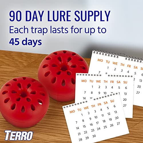 Terro Fruit Fly Traps for Indoors (12 Pack) + 540 Days of Lure Supply - size: 12 Traps